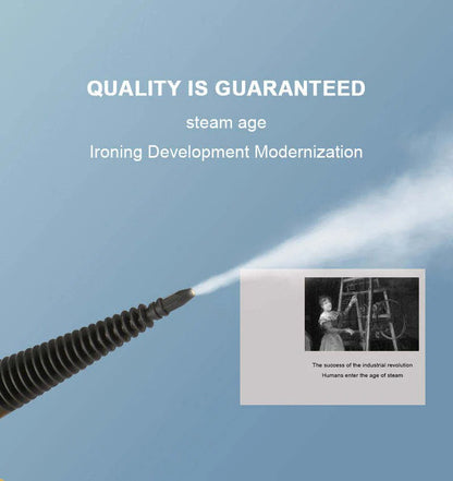 DF Steam Cleaner